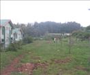 Plot for sale at Ooty